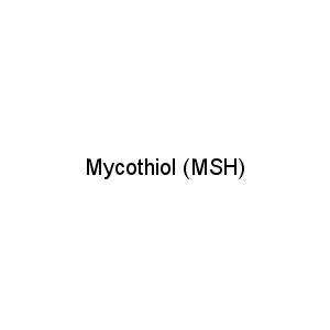 Mycothiol (MSH)